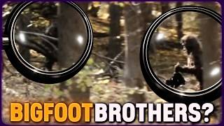 TWO Bigfoots on Camera — And No One’s Talking About It