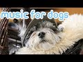 NEW Calming Music for Dogs! Relax Your Dog with Soothing Music! 2018!