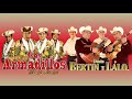 Dueto Bertin Y Lalo vs Los Armadillos De La Sierra - Puros Corridos Mix