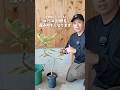 【コバエ対策】その状態大丈夫？生産者がコバエの予防法を教えます