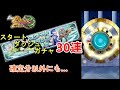 【LINEモンスターファーム】スタートダッシュガチャ30連