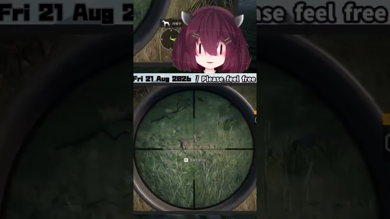 Vicuña. | #kiritan_touhoku (#Twitch)