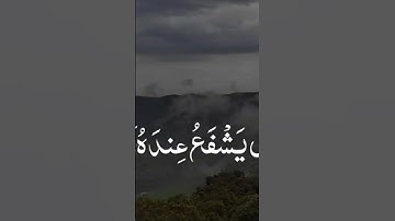 ياسر دوسري آيات كرسي #اكسبلور #birds