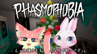 【ファズモフォビア】ベテラン調査員と新兎調査員の研修会👻【ケモVコラボ】
