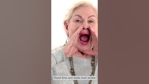 Surviving a Bear Attack: Tips and Real-Life Stories