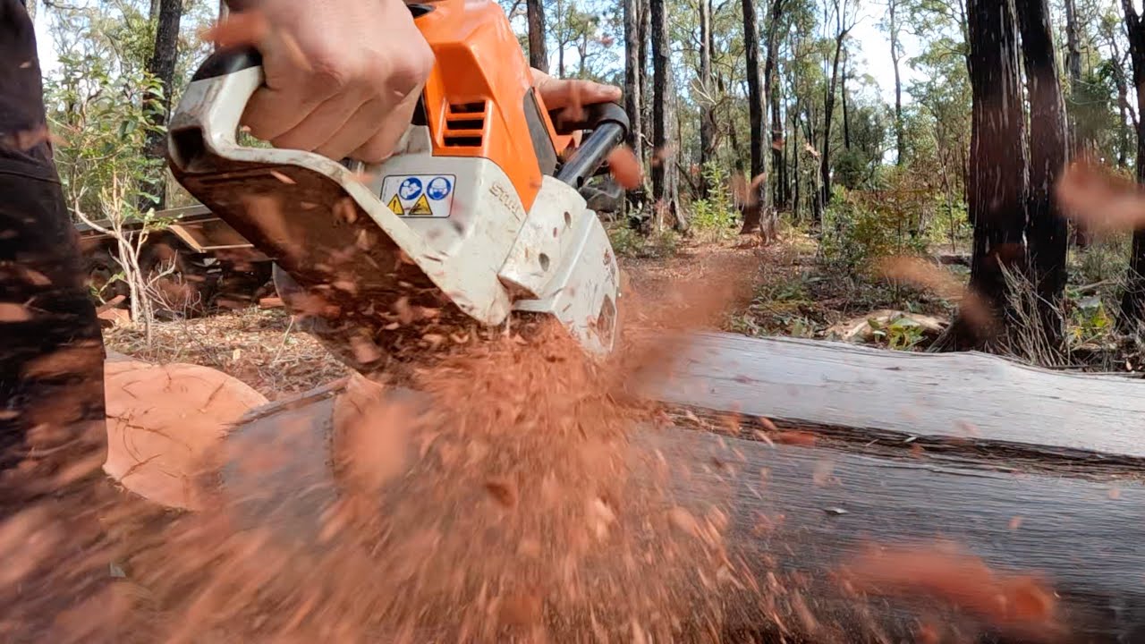 キル　オールドジャラ Wood chopping | Jarrah wood | Wood collection | Stihl chainsaw