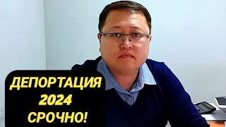 Депортация 18.8 статья