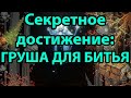 Груша для битья - Секретное достижение. 1 Глава: Рогом. Loop Hero