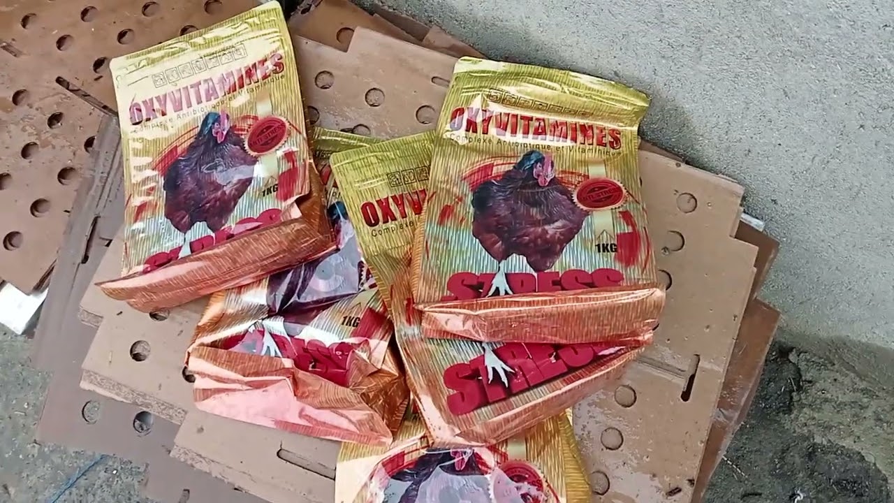 #دور الفيتامينات ومضاد السموم وفوائده في تسمين الدجاج وطريقة الاستعمال🦆🐔🐓💯↗️✅