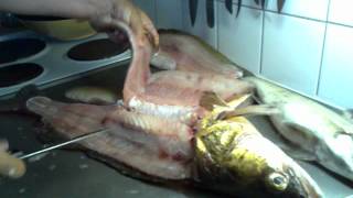 Så Filear Jag En Gös