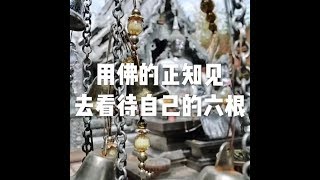 201709 用佛的正知见去看待自己的六根23606