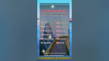 Mầu Sắc Xui Xẻo Cảu 12 con Giáp năm 2024