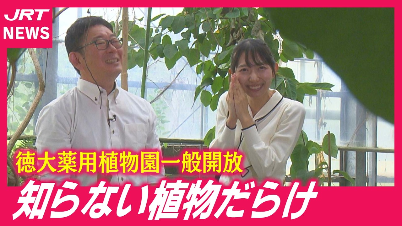 徳島派遣センターの評判と実態！高時給求人の真相と2026年最新動向