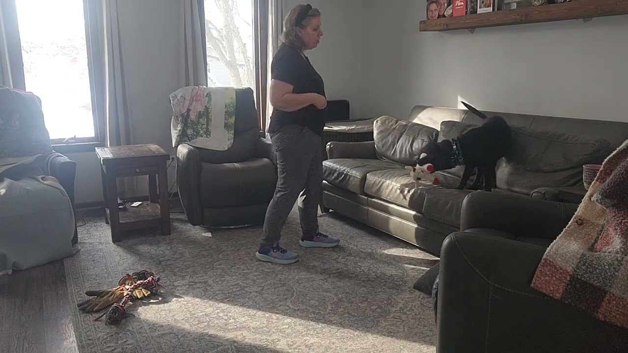 Binx’s 3-Week Residency: Mastering "Down" and "Drop It" Commands