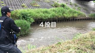 【前編】流れを攻略っ!ロッドパワーでぶっこ抜き!