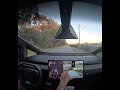 Cybertruck V14.1.7- Identifies animal and safely responds to cat in the road in the country area.