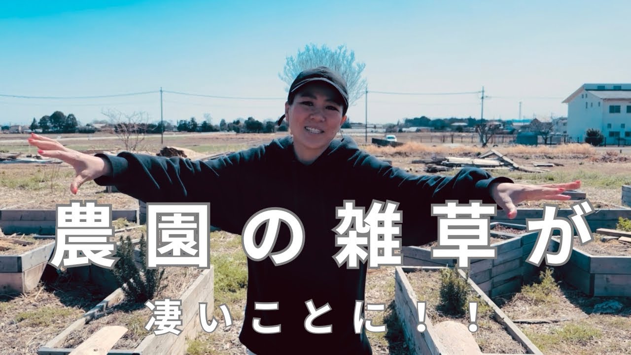 ロースークeden農園の雑草も世界観を作る