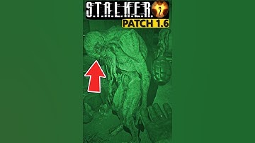 ☢️ Yes! This Actually Works in STALKER 2 👍 Love This New Feature #Shorts #Stalker2 #games