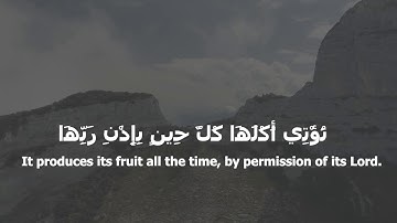 مثلا كلمة طيبة كشجرة طيبة (ابراهيم 24-27) القارئ طارق محمد