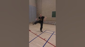 Lotus Kick of Shaolin Kung Fu - He Yong Gan Martial Arts Apeldoorn