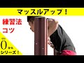 【解説】ゼロから始めるマッスルアップ!【マッスルアップのコツ、やり方】