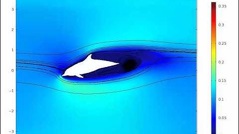 Comsol Finite Element Dolphin Simulation 10deg 0.1m/s