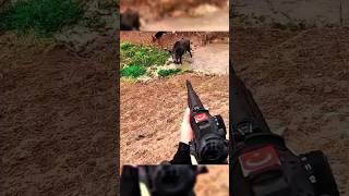 Охота на волка 🎯 | Мощный выстрел в дикой природе 🐺🔥 #wolfhunting