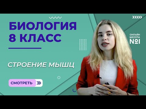 Строение мышц. Урок 10. Биология 8 класс