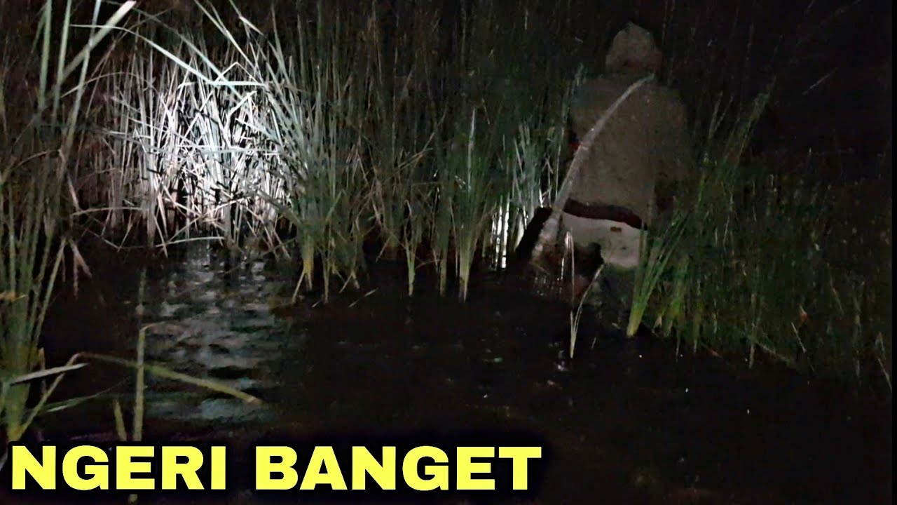 MEMASUKI RAWA RAWA DI MALAM HARI || NGERI 