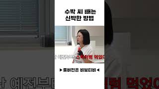 수박 씨 빼는 신박한 방법
