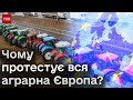 📢 Протести фермерів вже не тільки в Польщі! Чому повстали аграрії по всій Європі?