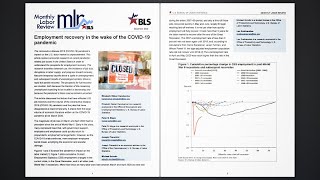 Employment recovery in the wake of the pandemic