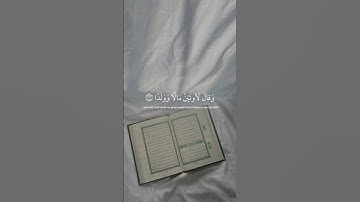 ﴿ افرَأيت الَّذِي كفرَ بآياتِنا ﴾ سوره مريم، عبدالرحمن مسعد #ارح_قلبك #قران_كريم
