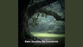 Endless Rain for Restful Sleep, Pt.26