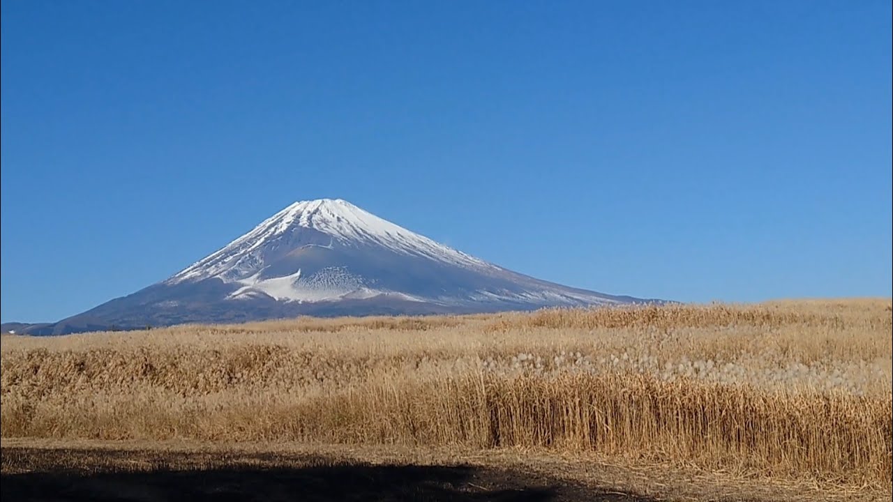 静岡県裾野市にて すすきの向こうに 富士山ーリベンジ - YouTube