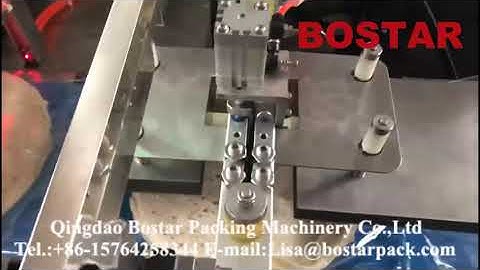 Pita Bread Chapati Tortilla Automatic Pillow Packing Machine