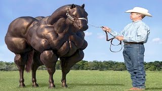 10 Most Incredible Horse Breeds In The World!