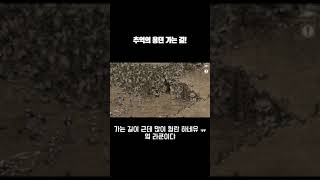 :추억의리니지 (추억의 용던가는길) #리니지 #리니지클래식