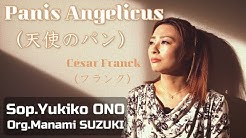 Yukikoono小野友葵子 Youtube
