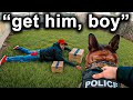 When K-9 Units TAKE DOWN Bad Guys