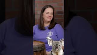 Wild Turkey 101 vs Maker's Mark 101: Shocking Price Comparison! #shorts