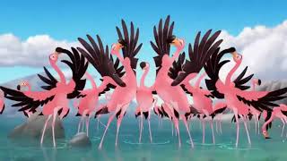 The song is okay, Flamingo/Песня ну-ка фламинго