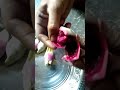 கள்ளிப்பழம்