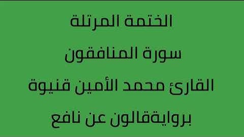 سورة المنافقون القارئ محمد الأمين قنيوة برواية قالون عن نافع