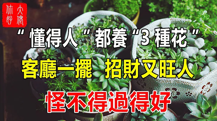 “懂得人”都养“3种花”，客厅一摆，招财又旺人，怪不得过得好！ - 天天要闻