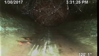 Seth   Sewer Line   SE McLoughlin Blvd   01302017