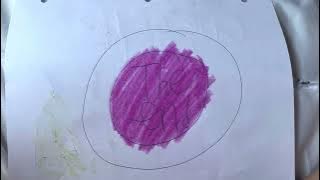 The end (one of the blind)