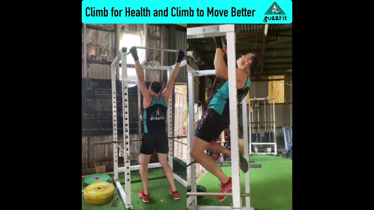 guzzFIT Climbing PullUp Exercise to Move Better! YouTube