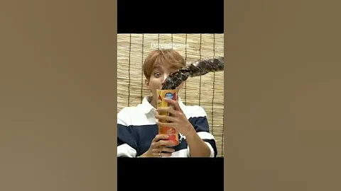 [SEVENTEEN/ Dokyeom] #shorts #dokyeom #dk #gose  #seventeen #funny #super #fire #차린건쥐뿔도없지만 #fml