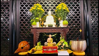 NIKAYA Thiền Quán - Con Đã Về Núi Linh Thứu - Chia Sẽ Cảm Xúc **